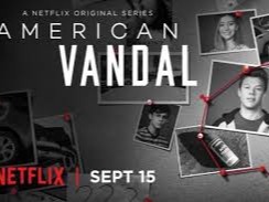 American Vandal American Vandal is an American television mockumentary series that premiered on Netflix on September 15, 2017. The series is a satire of true crime do...